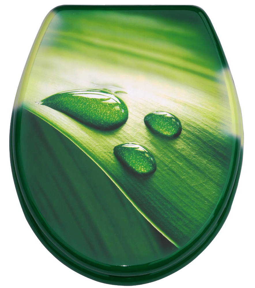 Soft Close Toilet Seat Green Leaf