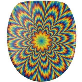 Soft Close Toilet Seat Illusion