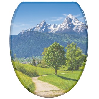 Soft Close Toilet Seat with Quick Release Alps