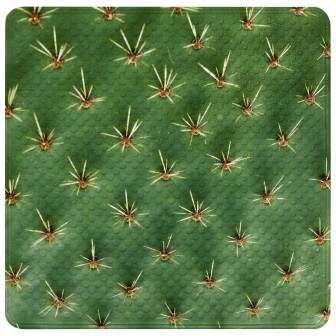 Bath Mat Cactus 53 x 53 cm