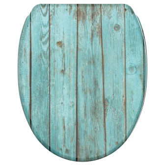 Soft Close Toilet Seat with Quick Release Lumber