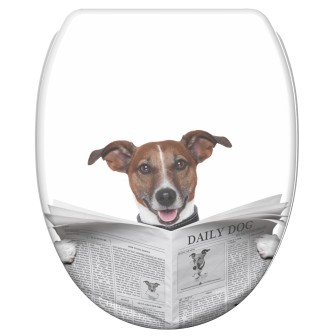 Soft Close Toilet Seat with Quick Release Newspaper