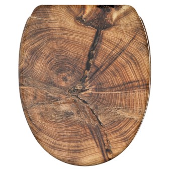 Soft Close Toilet Seat with Quick Release Old Tree