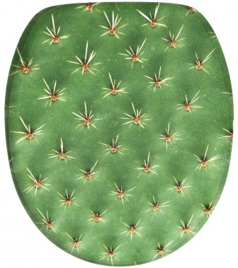 Soft Close Toilet Seat Cactus