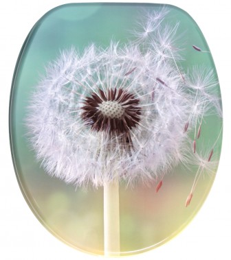 Soft Close Toilet Seat Dandelion