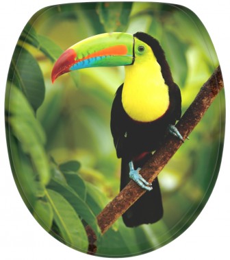 Soft Close Toilet Seat Toucan