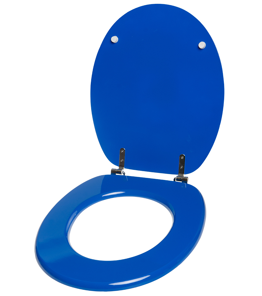 Toilet Seat Blue