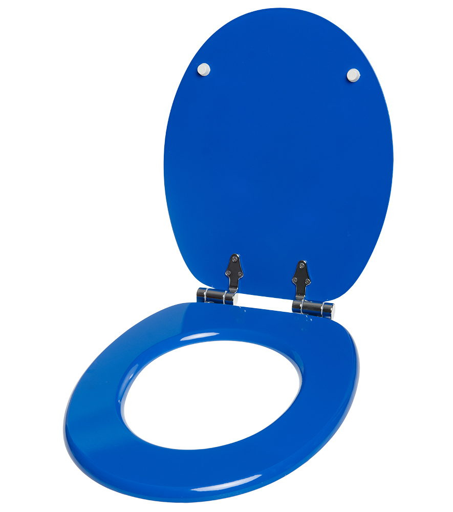 Soft Close Toilet Seat Blue
