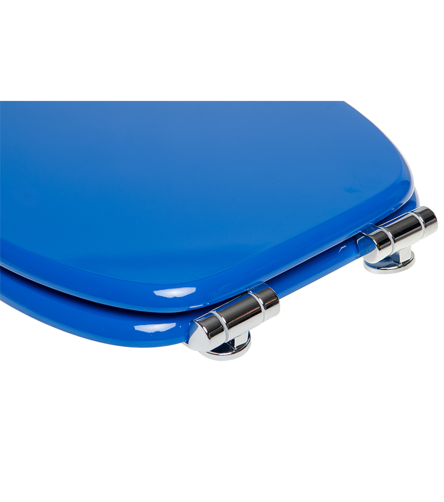 Soft Close Toilet Seat BlueA585854