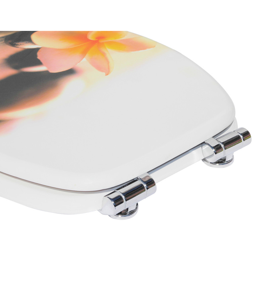 Soft Close Toilet Seat Beautiful