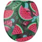 Soft Close Toilet Seat Melone