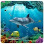Bath Mat Dolphin 53 x 53 cm