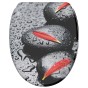 Soft Close Toilet Seat with Quick Release Elegance
