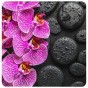 Bath Mat Madeira 53 x 53 cm