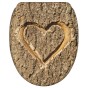 Soft Close Toilet Seat with Quick Release True Love