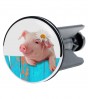 Wash Basin Plug Pig