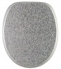 Soft Close Toilet Seat Crystal Silver