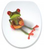 Soft Close Toilet Seat Froggy