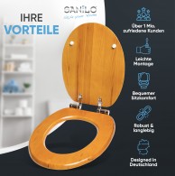 WC-Sitz mit Absenkautomatik Holz