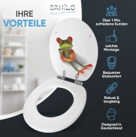 Soft Close Toilet Seat Froggy