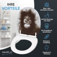 Soft Close Toilet Seat with Quick Release Alfred