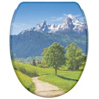 Soft Close Toilet Seat with Quick Release Alps