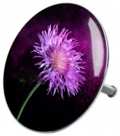 Bathtube Plug Purple Dust