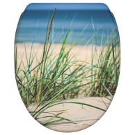 Soft Close Toilet Seat with Quick Release Dunetide