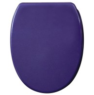Soft Close Toilet Seat with Quick Release Glittering Purple