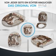 Soft Close Toilet Seat with Quick Release Berta