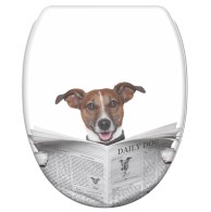 Soft Close Toilet Seat with Quick Release Newspaper