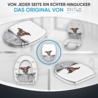 Soft Close Toilet Seat with Quick Release Newspaper