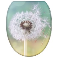 Soft Close Toilet Seat with Quick Release Dandelion