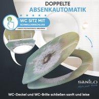 Soft Close Toilet Seat with Quick Release Dandelion
