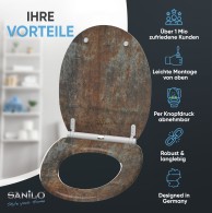 Soft Close Toilet Seat with Quick Release Rusty