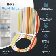 Soft Close Toilet Seat with Quick Release Starstripes
