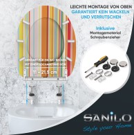 Soft Close Toilet Seat with Quick Release Starstripes