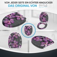 Soft Close Toilet Seat with Quick Release Vanda