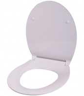 Soft Close Toilet Seat Flat Dolphin