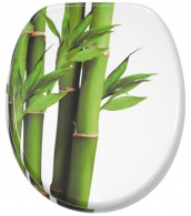 Soft Close Toilet Seat Bamboo Green