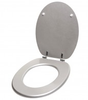 Toilet Seat Glittering Silver
