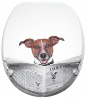Toilet Seat Newspaper