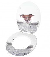 Toilet Seat Newspaper