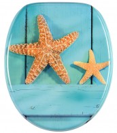 Toilet Seat Starfish