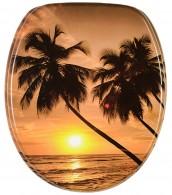 Toilet Seat Summer