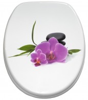 Toilet Seat Orchid