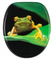 Soft Close Toilet Seat Green Frog