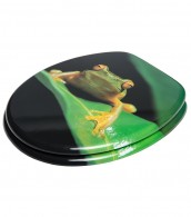 Toilet Seat Green Frog