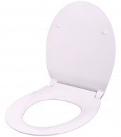Soft Close Toilet Seat Flat White